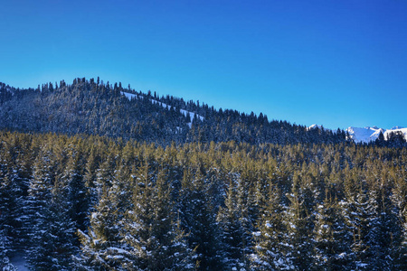 美丽的冬季景观与雪，森林和干净的天空在卡拉科尔，吉尔吉斯斯坦。