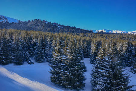 美丽的冬季景观与雪，森林和干净的天空在卡拉科尔，吉尔吉斯斯坦。