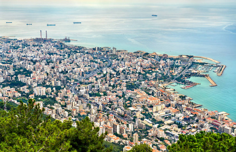 黎巴嫩 jounieh 鸟图