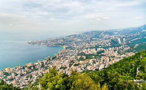 黎巴嫩 jounieh 鸟图