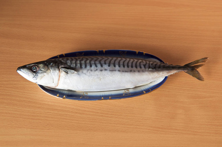 海鱼鲭鱼。 位于切割桌上的一个拉长的盘子。