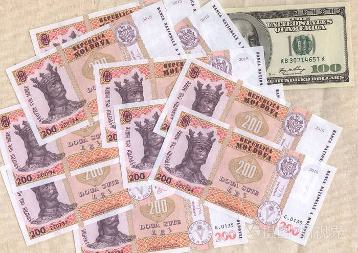 摩尔多瓦共和国的现金莱斯是纸币和硬币是摩尔多瓦银行系统的工具美元