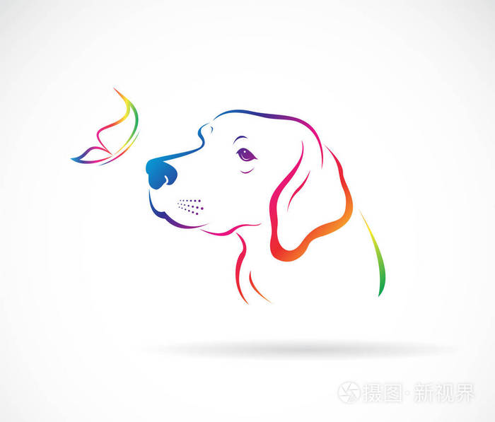 白色背景下的狗(拉布拉多)和蝴蝶矢量. 宠物. 动物.
