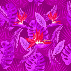 矢量无缝图案的热带霓虹灯紫色棕榈叶怪物的叶子和珊瑚花的天堂鸟Strelitzia羽毛在紫色的背景。 壁纸趋势设计。