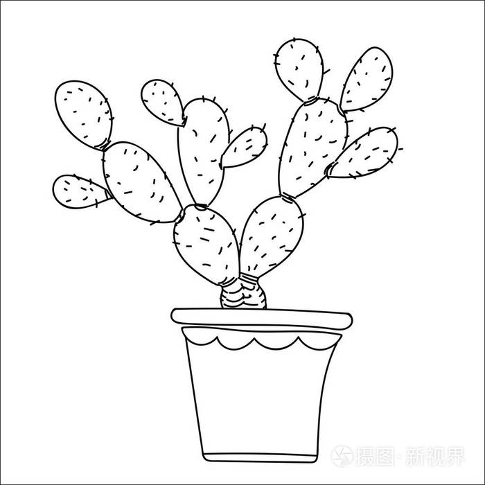 仙人掌手画风格隔离在白色背景上,为儿童着色书籍,植物和教育概念.