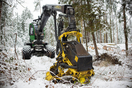 森林中的液压挖掘机。 冬天的雪。 树倒树砍树