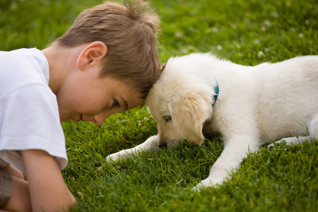 小男孩在草地上玩小狗金毛猎犬。