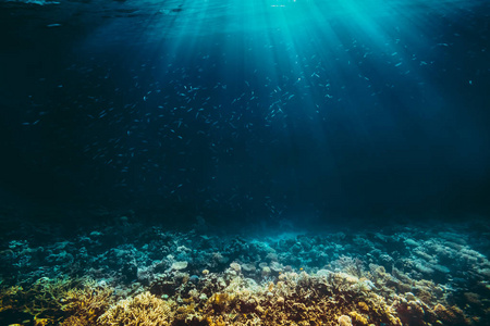 水下海滩上的背景沙子