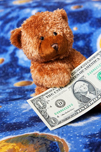 泰迪熊和美元