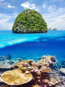 珊瑚礁水下景观无人岛图片