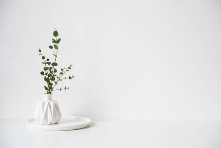 桉树分枝在白色陶瓷花瓶在空的墙壁背景