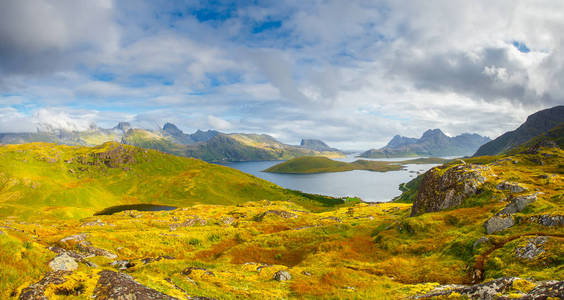 春天或夏天的风景。 挪威北部全景。 美丽的海岸线覆盖着柔软的苔藓和绿草。 蓝色天空下有岩石的峡湾。