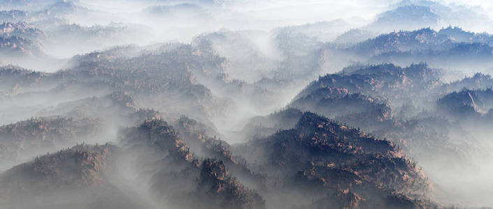 雾中杉树的山景空中。