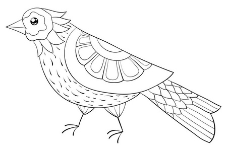 一种可爱的鸟，带有装饰形象，用于放松活动。着色书，成人页..禅宗艺术风格插图供印刷。