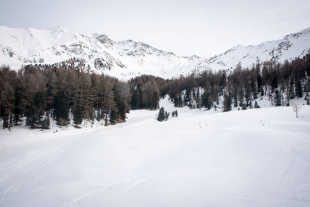 山地滑雪意大利奥斯塔谷滑雪场的全景