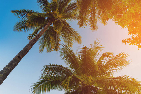 椰子棕榈树在热带海岸的岛屿海滩与老式色调。