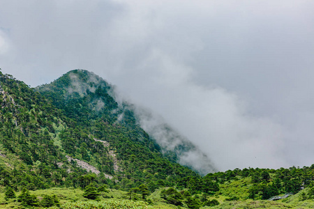 云南大理苍山山顶云雾缭绕的山脊景观