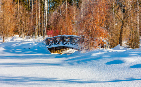湖畔雪冬公园的木桥