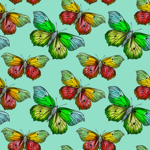 蝴蝶飞蛾昆虫动物飞。 与蝴蝶无缝图案。 墙纸。 玫瑰甘菊野花花。