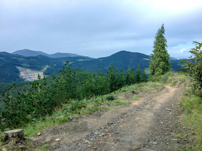 森林土路，可俯瞰巴斯克国家卡米诺德尔北部山脉或沿西班牙北部海岸的沿海圣詹姆斯朝圣之路