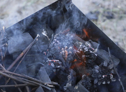 烧烤架。 在胸罩上用热煤躺着烤架。 黑炭灌木和松果正在燃烧和燃烧