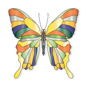 手绘蝴蝶用于T恤设计或纹身。 儿童和成人着色书。 矢量插图