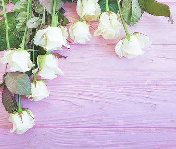 粉红色木制背景上的玫瑰花
