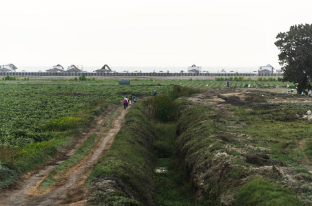 一群人穿过田野图片