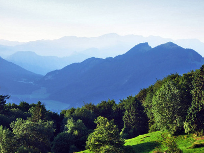 瑞士圣加伦州阿尔维耶山和西兹塔尔山谷之间山坡上的树木和混合森林