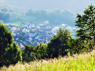 瑞士圣加伦州莱茵河流域莱茵河流域的奥伯森定居点