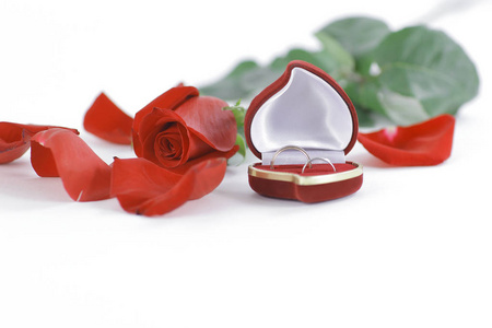 结婚戒指和白色背景上的红玫瑰