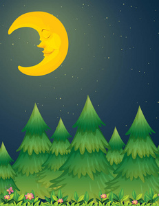 月夜自然场景插图