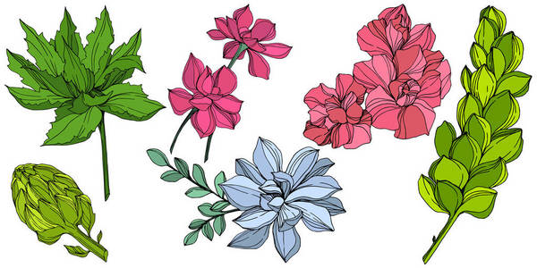 向量丛林植物多汁的花。雕刻的水墨艺术插图。分离的肉质插图元素