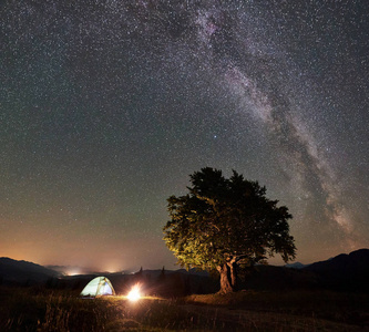 夜间在大树附近的山上露营