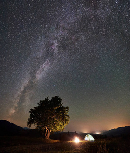 夜间在大树附近的山上露营