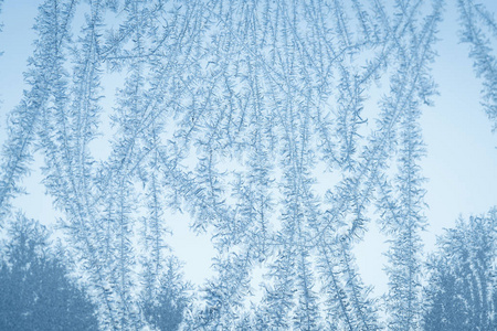 在寒冷的早晨，12月窗户上的霜片图案