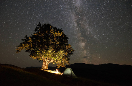 夜间在大树附近的山上露营