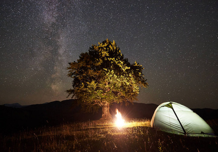 夜间在大树附近的山上露营
