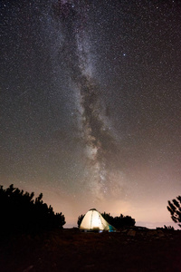 夜间在大树附近的山上露营