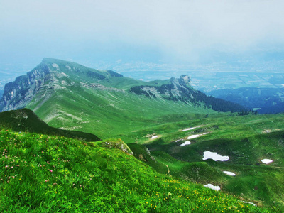 瑞士圣加仑阿尔维耶山区山区和山坡上的季节性山地牧场