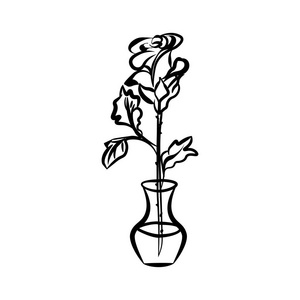 在透明花瓶里没有完全绽放的玫瑰。 这幅画是黑白的。 可用于节日贺卡。 矢量手绘图形。