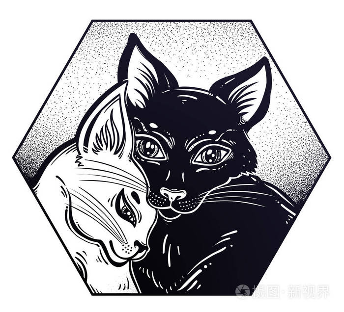 黑色和白色的猫在对立面的温柔拥抱