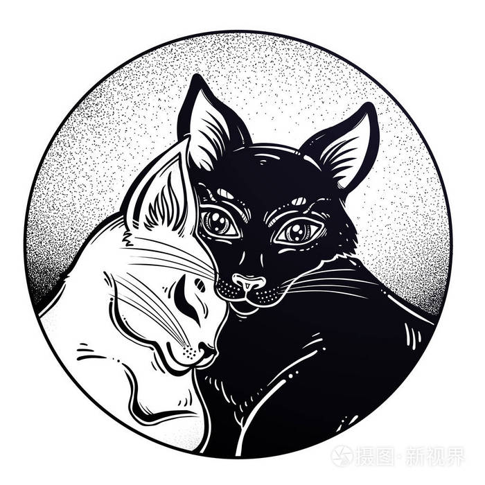 黑色和白色的猫在对立面的温柔拥抱在圆的框架