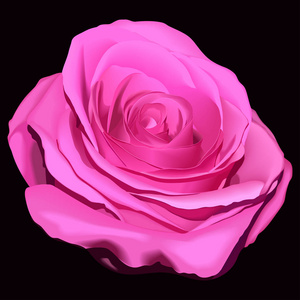玫瑰的真实形象。 贺卡设计的元素。