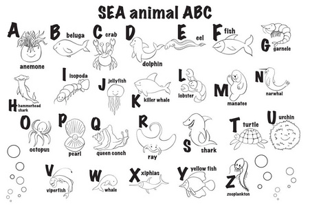 动物园字母表。动物字母表。从 A 到 z 卡通可爱的动物在白色背景上被隔绝的信件