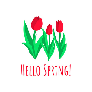 你好，春天的贺卡。 春天的郁金香。 平面样式的矢量插图。