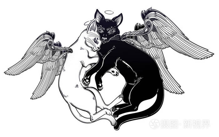 黑色和白色的猫与天使的翅膀在对立面的温柔的拥抱