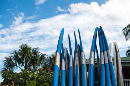 夏威夷热带岛屿蓝天冲浪板租赁服务