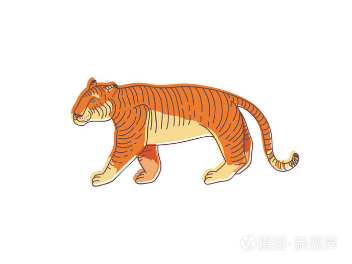 大橙色老虎, 侧视图.野生动物.掠夺性猫.野生动物和动物的主题.