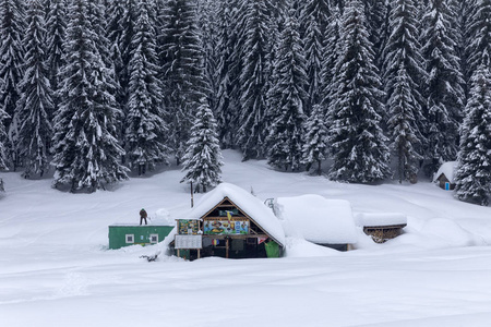 森林中的小屋松林覆盖着白雪的房子